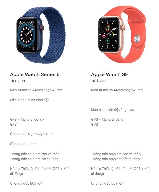 Series 6 vs Watch SE